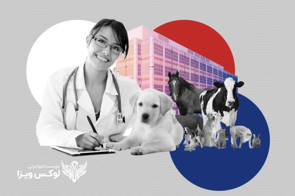 تحصیل دامپزشکی در فرانسه