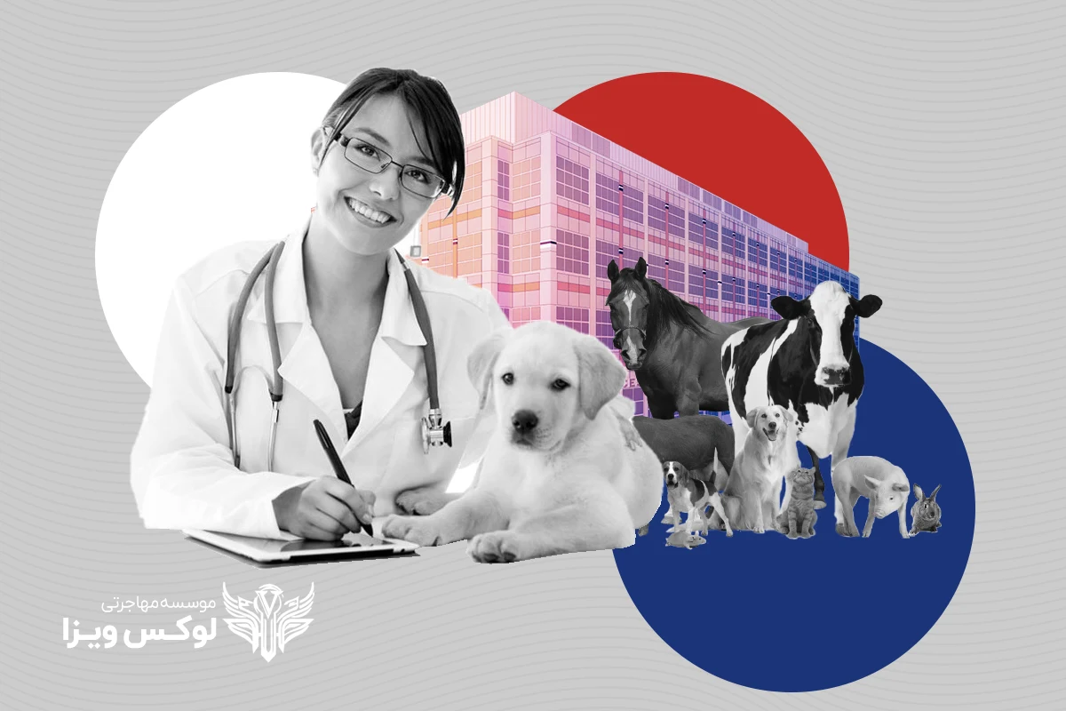 تحصیل دامپزشکی در فرانسه