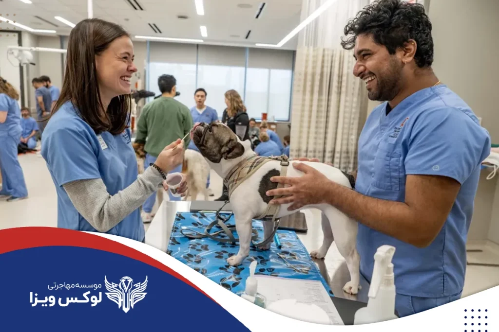 هزینههای تحصیل دامپزشکی در فرانسه